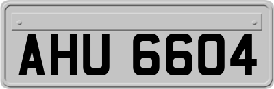 AHU6604