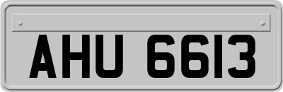 AHU6613