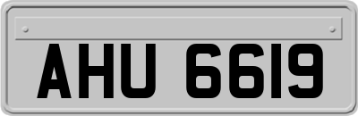 AHU6619