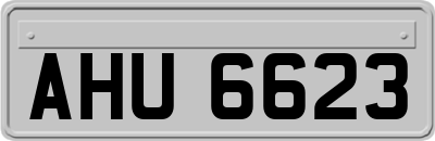 AHU6623