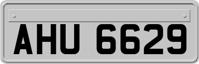 AHU6629