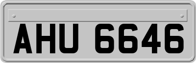 AHU6646