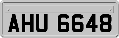 AHU6648
