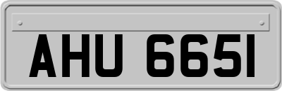AHU6651