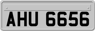 AHU6656