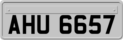 AHU6657