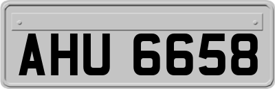AHU6658