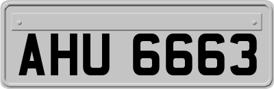AHU6663