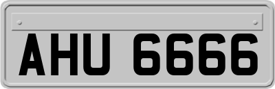 AHU6666