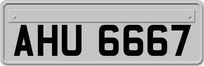 AHU6667