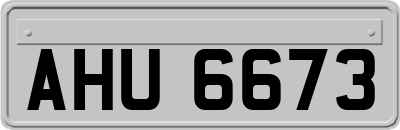 AHU6673