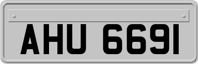 AHU6691