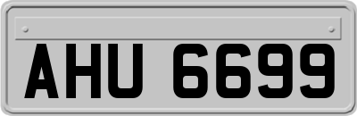 AHU6699