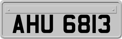 AHU6813