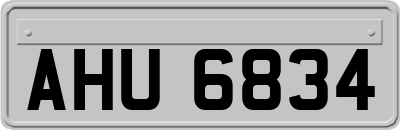 AHU6834
