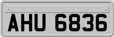 AHU6836