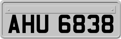 AHU6838