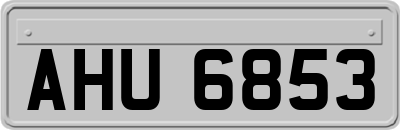 AHU6853