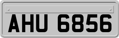 AHU6856