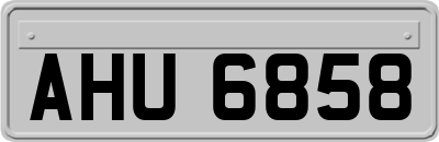 AHU6858
