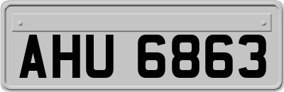 AHU6863