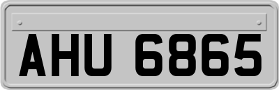 AHU6865
