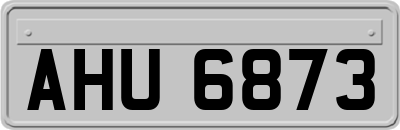 AHU6873
