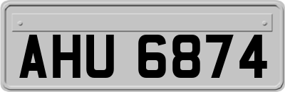 AHU6874