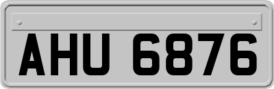 AHU6876