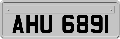 AHU6891