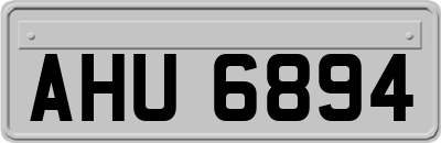 AHU6894