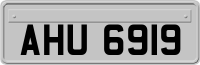 AHU6919