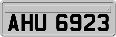 AHU6923