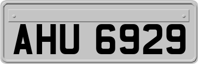 AHU6929