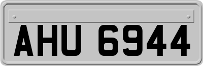 AHU6944