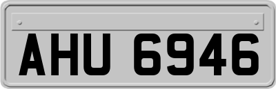 AHU6946