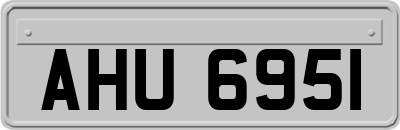 AHU6951