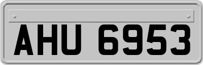AHU6953