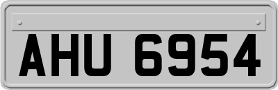 AHU6954