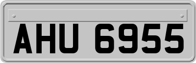 AHU6955