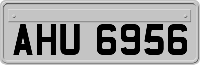 AHU6956
