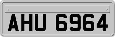 AHU6964