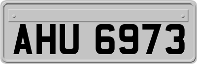 AHU6973