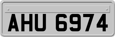 AHU6974