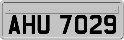 AHU7029