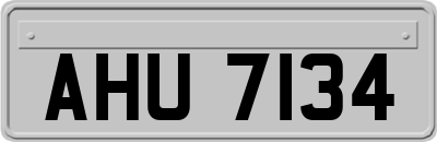 AHU7134