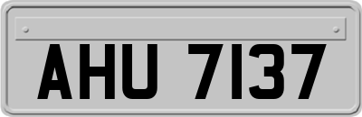 AHU7137