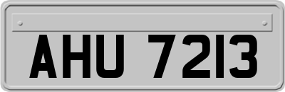 AHU7213