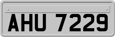 AHU7229