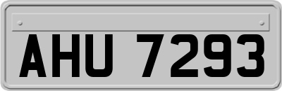 AHU7293